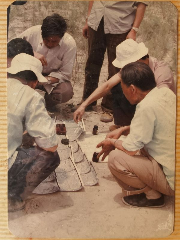 1640660037591084612.jpg 图4.jpg