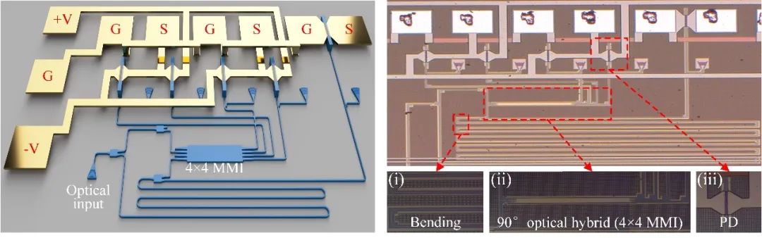 图2 CADD硅光接收机3D示意图和芯片显微镜照片.jpeg